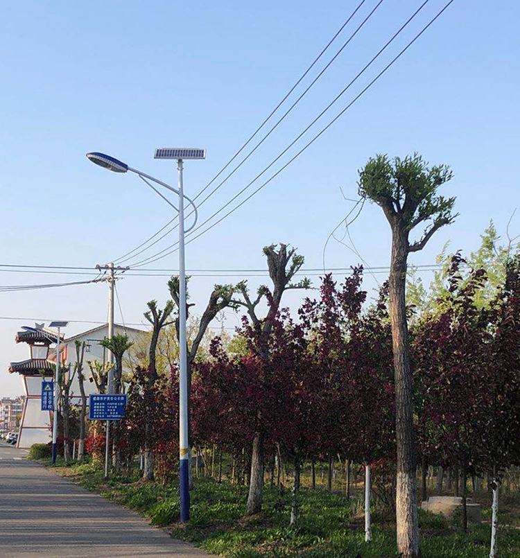 农村太阳能路灯_福建太阳能路灯_乐竞·体育官方网站太阳能路灯