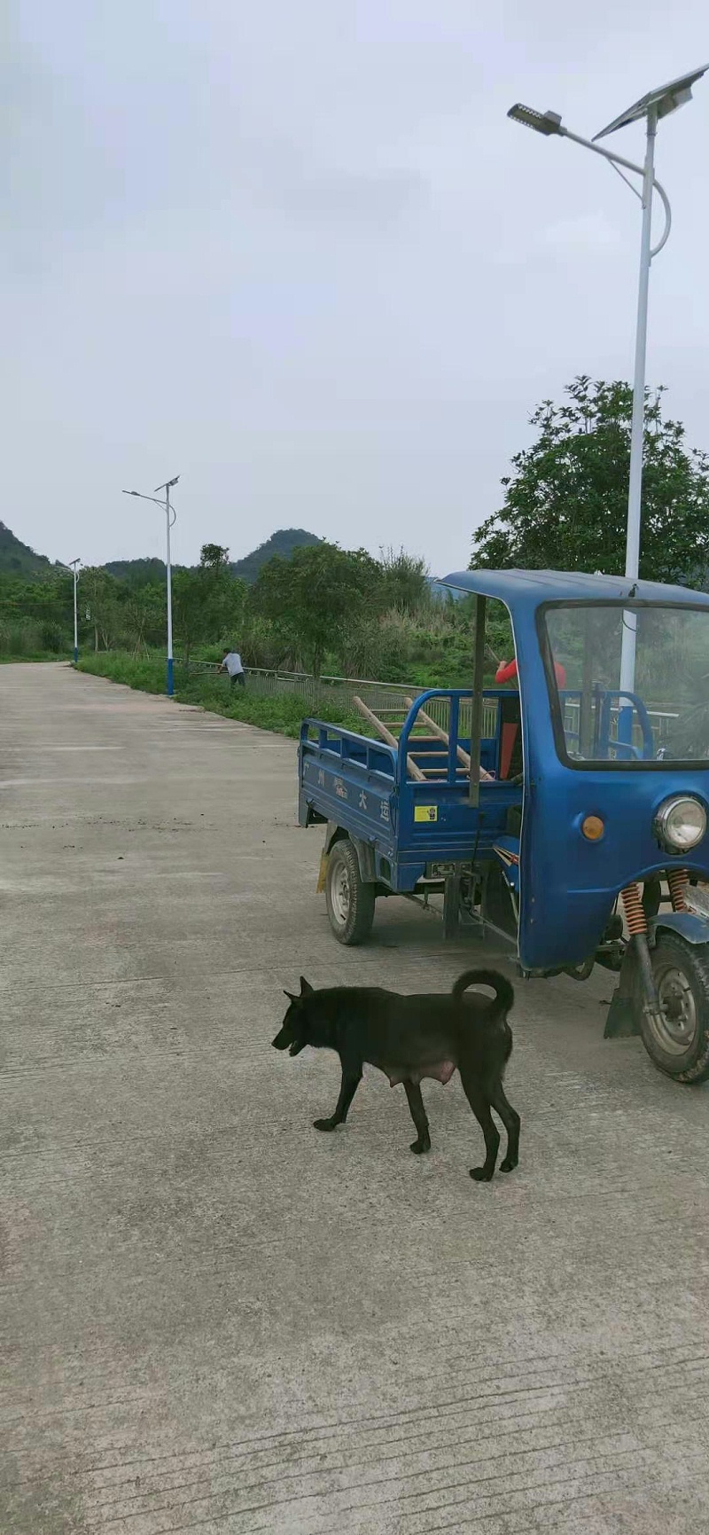 微信图片_202