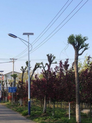 千盏太阳能路灯点亮了花岭区每条村