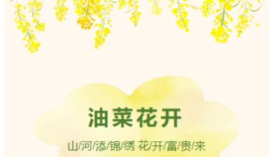 油菜花遍地乐竞·体育官方网站来