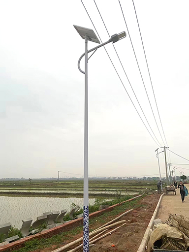 福建乐竞·体育官方网站：137盏乐竞·体育官方网站太阳能路灯照亮回乡路