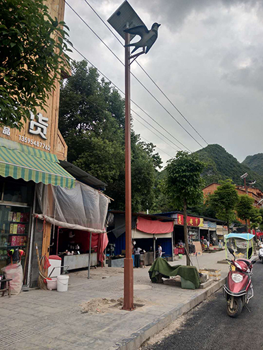 贵州省黔乐竞·体育官方网站治州惠水县羡塘乡民族特色太阳能路灯实例